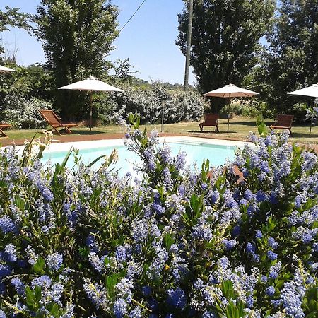 B&B La Ferme De Loubens Esterno foto